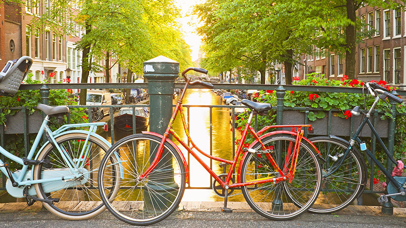 MAYORAL EN AMSTERDAM